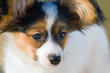 Similar image 151671