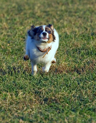 Similar image 151672