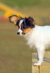 Similar image 151673