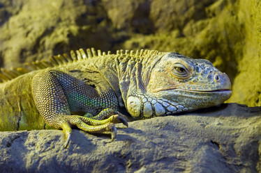 Similar image 151678