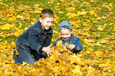 Similar image 151679