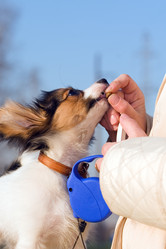 Similar image 151685