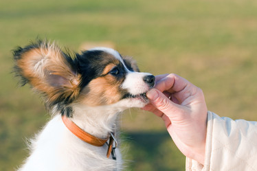 Similar image 151686