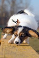 Similar image 151687