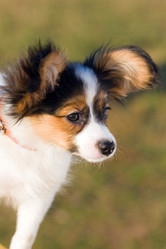 Similar image 151688