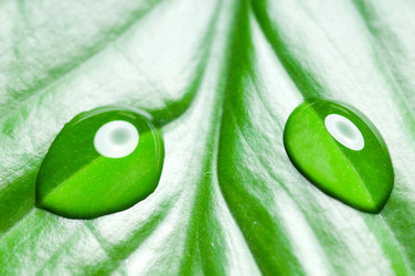 Similar image 151708