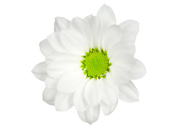 Similar image 151709