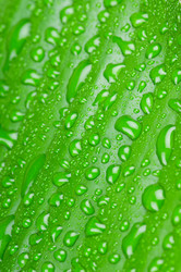 Similar image 151710