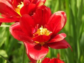 Similar image 151721