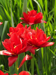 Similar image 151722