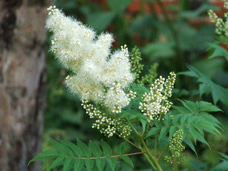 Similar image 151768