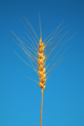 Similar image 151790