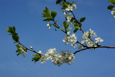 Similar image 151807