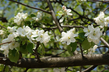 Similar image 151809