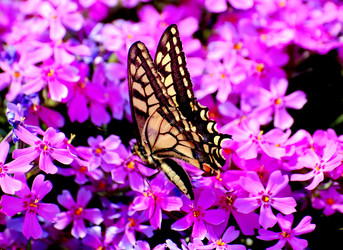 Similar image 151816