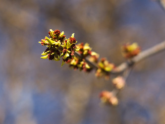 Similar image 151817