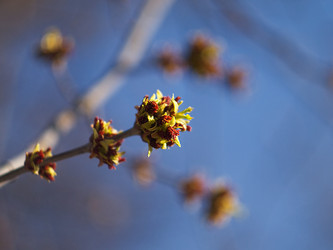 Similar image 151818