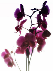 Similar image 151823