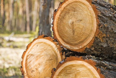 Similar image 151853