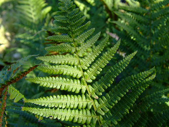 Similar image 151902