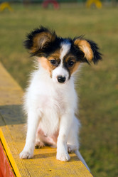 Similar image 151932