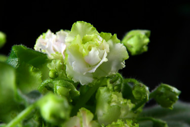 Similar image 151994