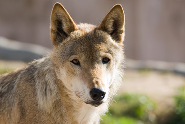 Similar image 152013