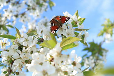 Similar image 152051