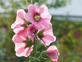 Similar image 152070