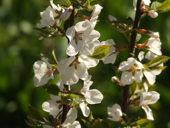 Similar image 152072