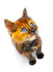 Similar image 152086