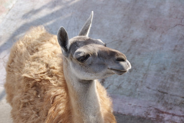 Similar image 152094