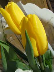 Similar image 152120