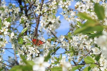 Similar image 152129