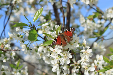 Similar image 152131