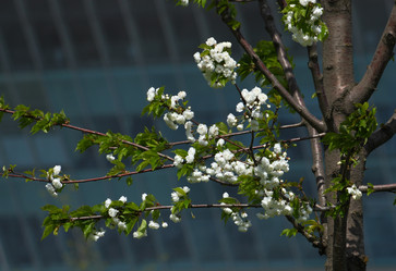 Similar image 152164