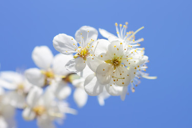 Similar image 152165