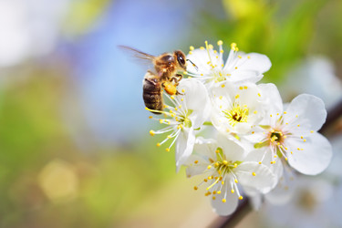 Similar image 152167