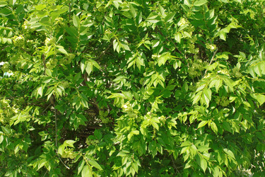 Similar image 152171