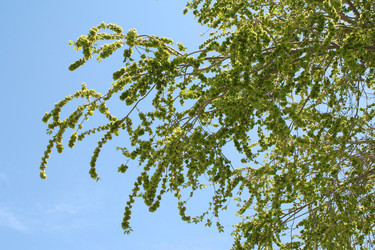 Similar image 152172