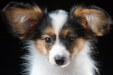 Similar image 152197