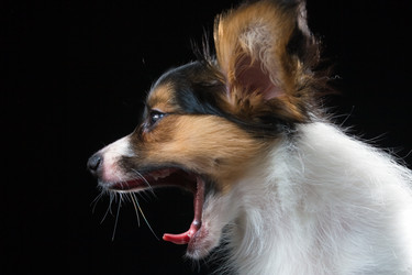 Similar image 152198