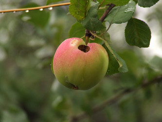 Similar image 152206