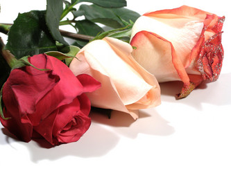 Similar image 152211