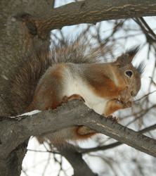 Similar image 152229