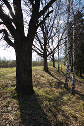 Similar image 152240