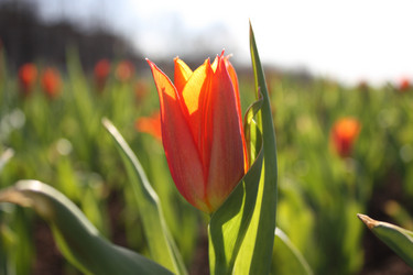 Similar image 152256