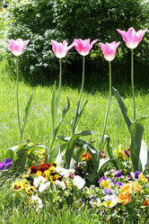 Similar image 152267