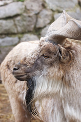 Similar image 152280