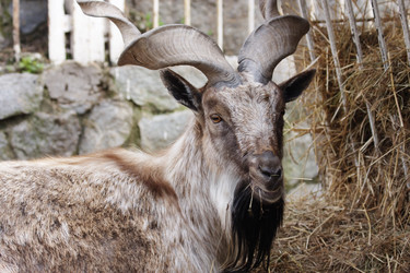 Similar image 152283